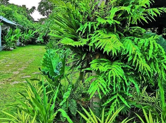 Botanic Artistry Boutique & Garden Hotel Siem Reap