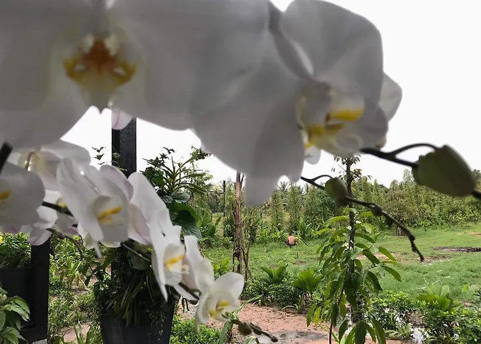 Hotel Botanic Artistry Boutique & Garden