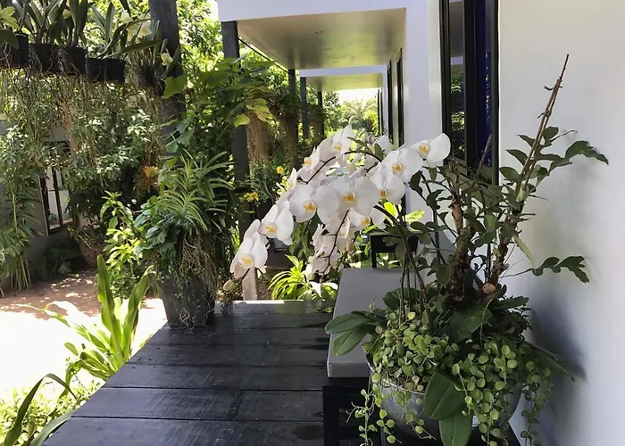 Botanic Artistry Boutique & Garden Siem Reap