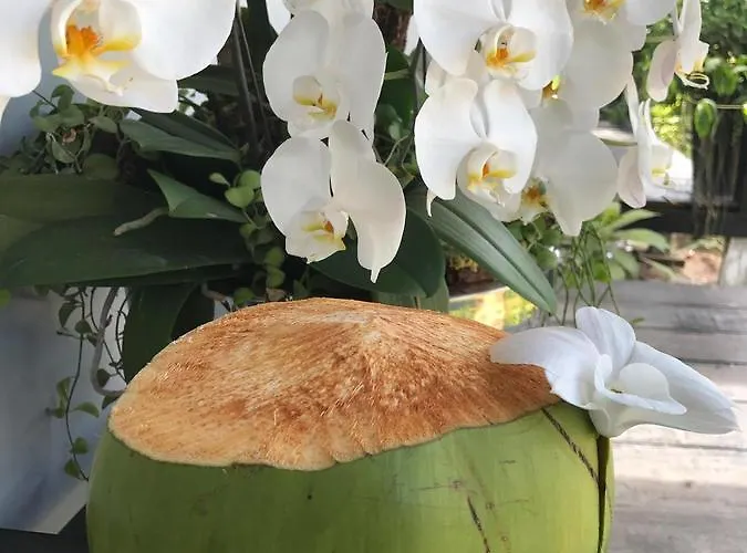 Hotel Botanic Artistry Boutique & Garden
