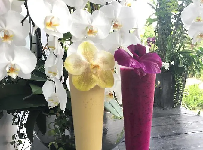 Botanic Artistry Boutique & Garden Hotel 4*